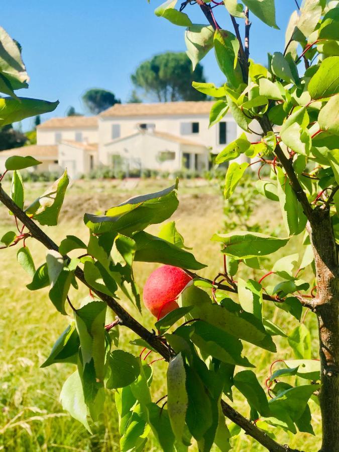 La Maison D Ame - For The Perfect Stay At The Mont Ventoux Malaucene Luaran gambar